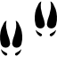 reinsdyr-spor